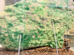 -安徽省地质博物馆