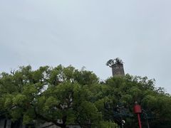 -江心屿景区