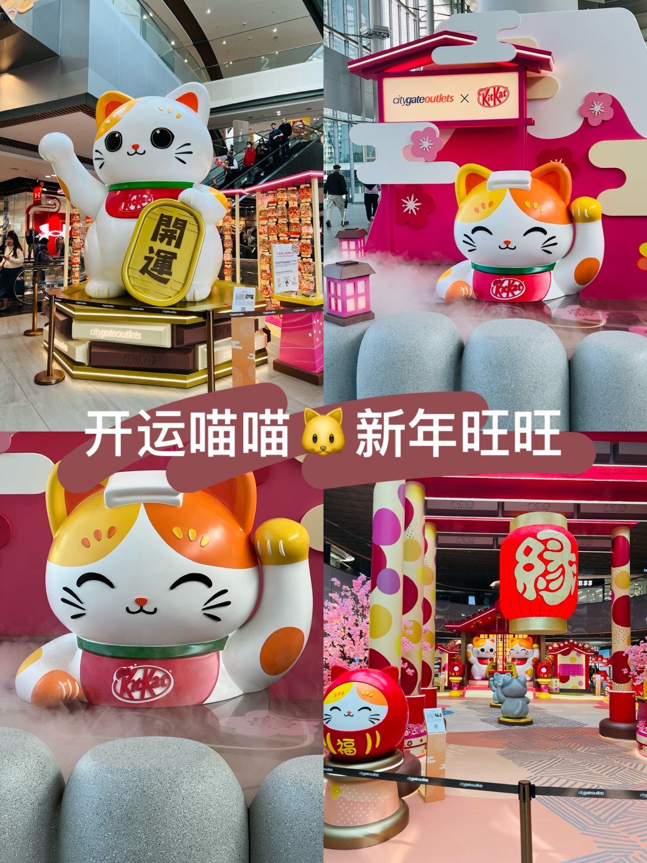 东荟城的喵喵真可爱