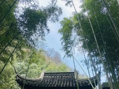 -焦山景区-万佛塔