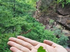 -云岫谷自然风景区