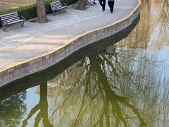 -团结湖公园