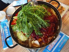 八爪鱼牛肉锅-东吉馆韩式餐厅(八经街总店)