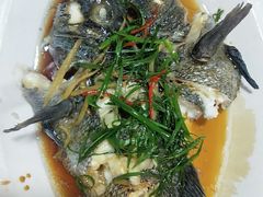 清蒸石虎鱼-原龙海鲜大排档(美食地标店)