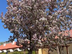 -意大利农场度假村