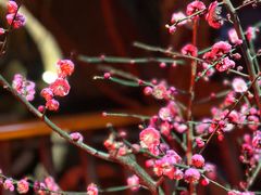 -鱼桥巷·美学川菜