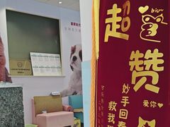 -瑞派申生动物医院·24H夜诊·国际动物医疗中心·骨外科(吴中路店)