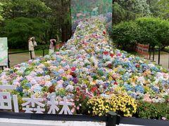 -上海共青森林公园