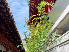-钦赐仰殿道观