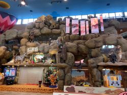 -卡通尼·Safari非洲探索乐园·生日会(金桥国际商业广场店)