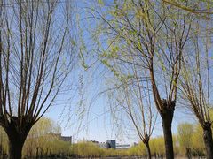 -中关村生命科学园