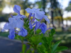 -云南师范大学(一二一西南联大校区)