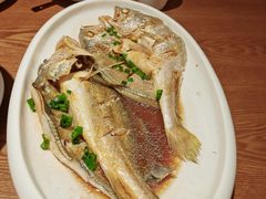 清蒸黄花鱼-吕氏疙瘩汤·新鲁菜(济南万象城店)