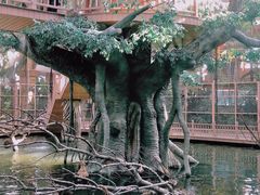 -南宫五洲植物乐园