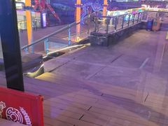 -移动谜城·大笨象密室逃脱(五棵松店)