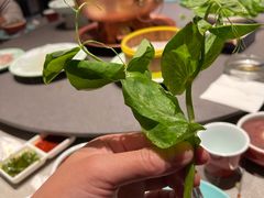 -额尔敦草原涮羊肉·烧烤(冻青树总店)