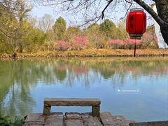 -西溪国家湿地公园