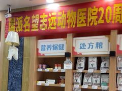 -瑞派名望志远动物医院·猫科·內科·异宠专科(直港大道店)