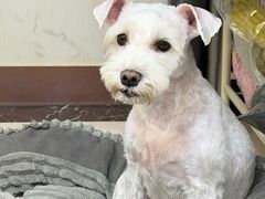 -沐沐家宠物(成寿寺店)