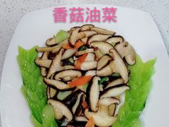 -爱月宝月嫂·育儿嫂(哈尔滨总店)