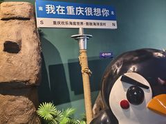-重庆欢乐海底世界