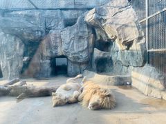 -南昌动物园