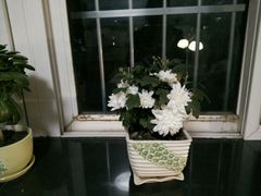 android_upload_pic-烟台碧海饭店(烟台火车站店)