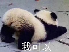 -盒马鲜生(联投广场店)
