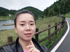 -武陵山森林公园