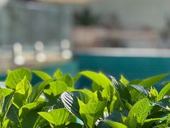 -几静cafe(基湖店)