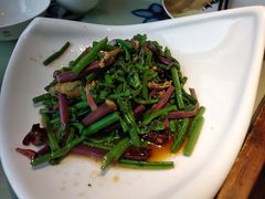 炝拌山野菜-撒拉花儿·新疆菜·清真(太阳宫店)