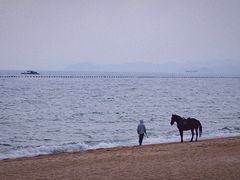 -玫瑰海岸文化旅游度假区