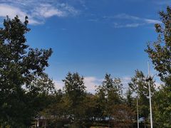 -宝荣鱼馆·临湖之宴(千岛湖店)