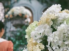 -大塘金香草谷