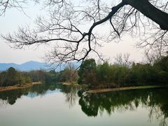 -西溪国家湿地公园