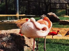 -沈阳森林动物园