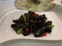 养生小木耳-骏莱海鲜鱼港(五角场店)