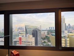 -新加坡乌节希尔顿酒店 (SG Clean)