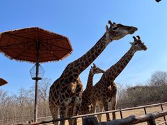 -济南野生动物世界