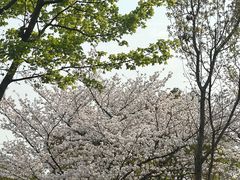 -自然谷恐龙园