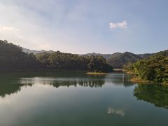 -佛山市三水区大南山森林公园