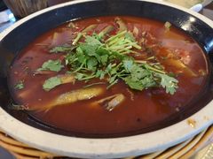 -新繁老號豌豆汤饭店·江湖菜(宝光寺店)