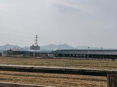 -君乐宝优致牧场