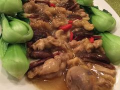 -七哥港式茶餐厅(亮马桥总店)