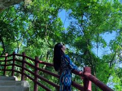 -窦圌山风景区
