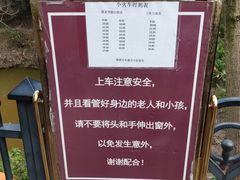 -合肥滨湖国家森林公园