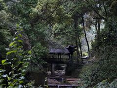 -峨眉山报国寺