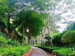 -铁路文化公园