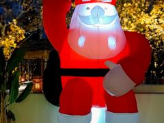 -HUATA 'Holiday Plan 花榻