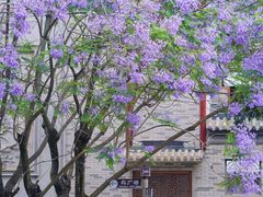 -龙潭水乡